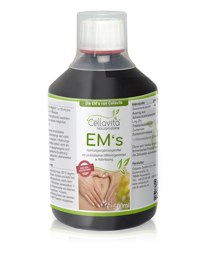 Vital Starter Kompass II
